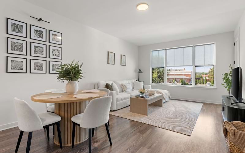 Open space living area with natural lighting