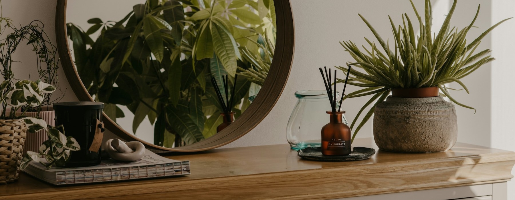 a dresser with a mirror and plants